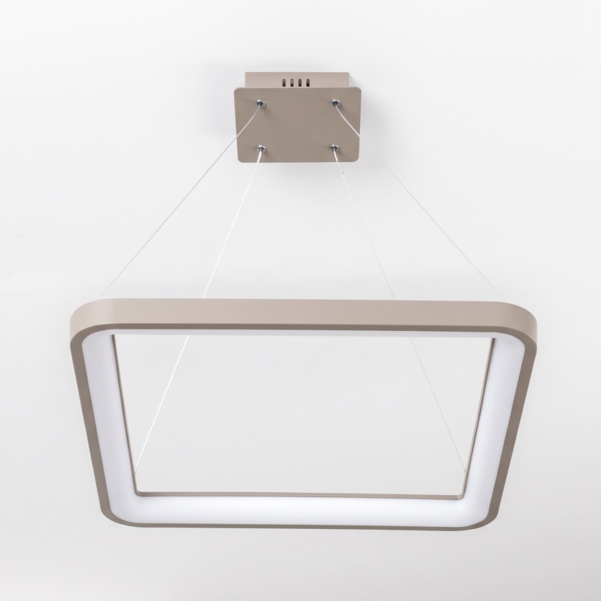 BRILAGI - LED dimējama karājlampa uz troses FALCON SLIM LED/50W/230V 3000-6500K 50x50 cm bēša + tālvadības pults