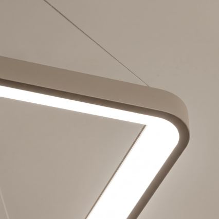 BRILAGI - LED dimējama karājlampa uz troses FALCON SLIM LED/50W/230V 3000-6500K 50x50 cm bēša + tālvadības pults