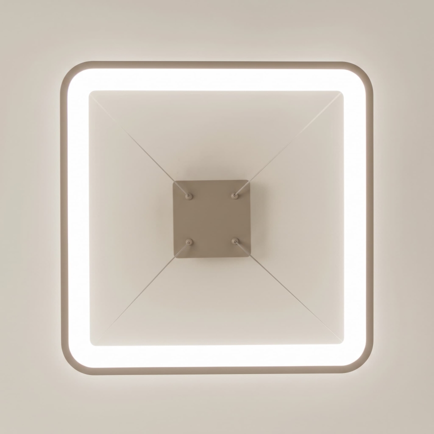BRILAGI - LED dimējama karājlampa uz troses FALCON SLIM LED/50W/230V 3000-6500K 50x50 cm bēša + tālvadības pults
