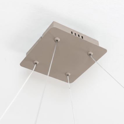 BRILAGI - LED dimējama karājlampa uz troses FALCON SLIM LED/50W/230V 3000-6500K 50x50 cm bēša + tālvadības pults