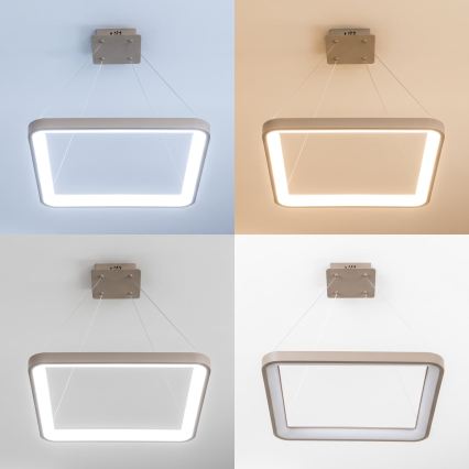 BRILAGI - LED dimējama karājlampa uz troses FALCON SLIM LED/50W/230V 3000-6500K 50x50 cm bēša + tālvadības pults