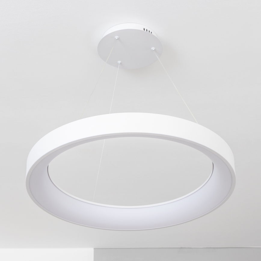 BRILAGI - LED regulējama karājamā lustra ar kabeli FALCON II LED/99W/230V 3000-6500K diam. 60 cm balta + tālvadības pults