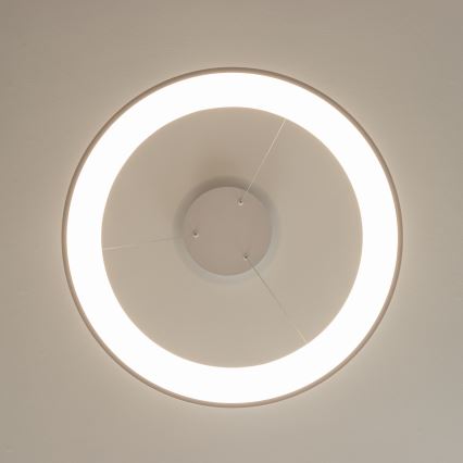 BRILAGI - LED regulējama karājamā lustra ar kabeli FALCON II LED/99W/230V 3000-6500K diam. 60 cm balta + tālvadības pults