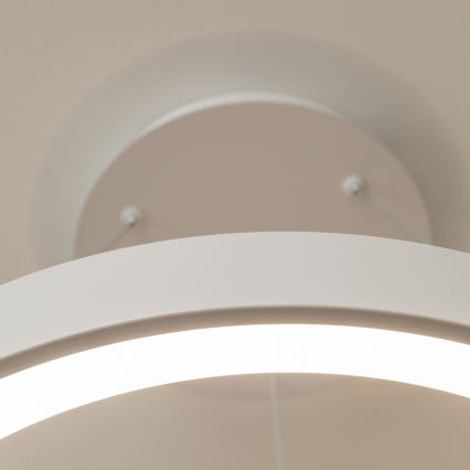 BRILAGI - LED regulējama karājamā lustra ar kabeli FALCON II LED/99W/230V 3000-6500K diam. 60 cm balta + tālvadības pults