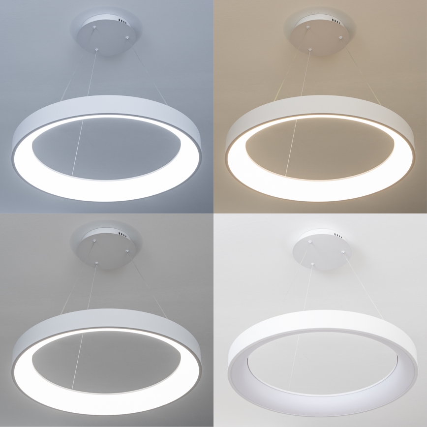 BRILAGI - LED regulējama karājamā lustra ar kabeli FALCON II LED/99W/230V 3000-6500K diam. 60 cm balta + tālvadības pults