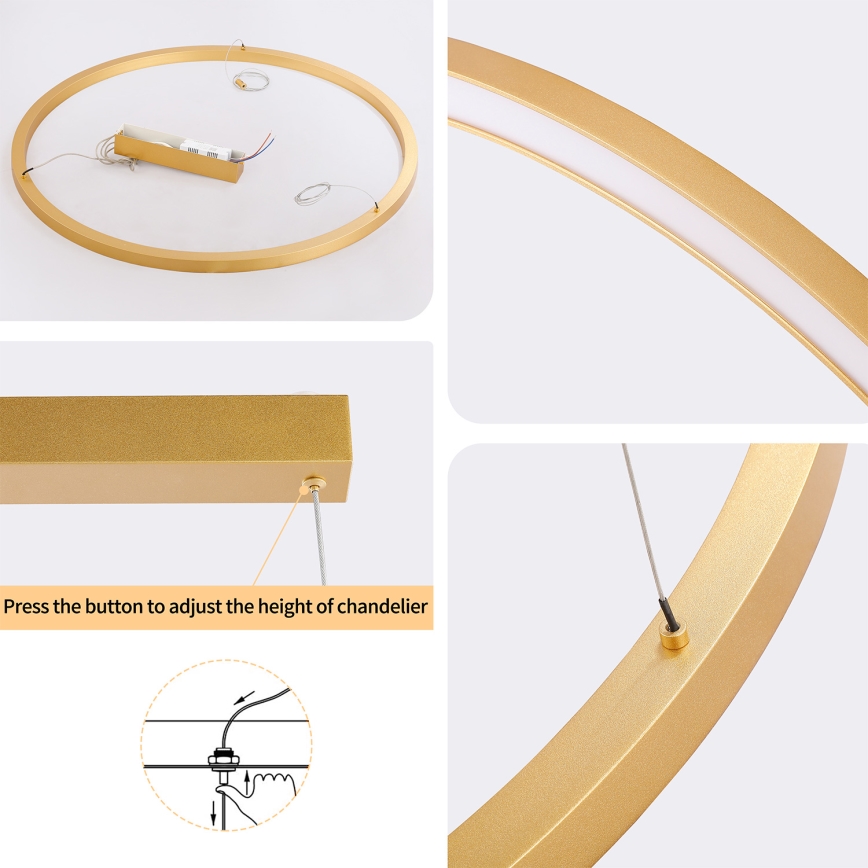 Brilagi - PORTOFINO LED lustra ar regulējamu spilgtumu uz troses LED/60W/230V 3000-6000K Ø 80 cm zelta + tālvadības pults