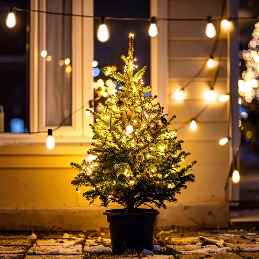 Brilagi - LED āra dekoratīvā virtene 10xLED/3xAA 3,2m IP44 silti balta