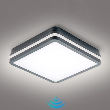 Brilagi - LED āra gaismeklis ar kustības sensoru BENE LED/24W/230V 26x26 cm antracīts IP54