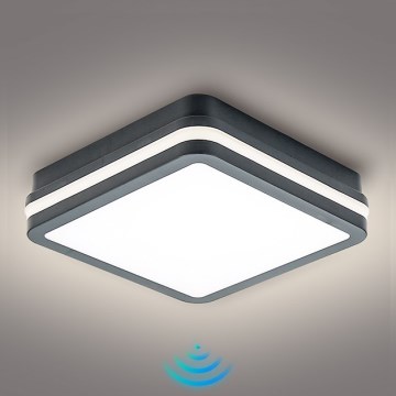 Brilagi - LED āra gaismeklis ar sensoru BENE LED/18W/230V 22x22 cm antracīts IP54