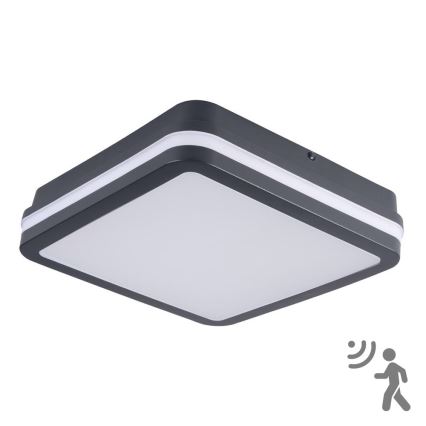 Brilagi - LED āra gaismeklis ar sensoru BENE LED/18W/230V 22x22 cm antracīts IP54