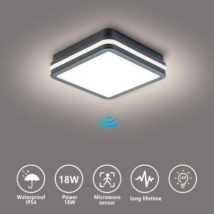 Brilagi - LED āra gaismeklis ar sensoru BENE LED/18W/230V 22x22 cm antracīts IP54