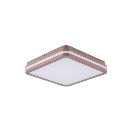 Brilagi - LED āra griestu gaismeklis ar sensoru BENE LED/24W/230V 26x26 cm brūns IP54