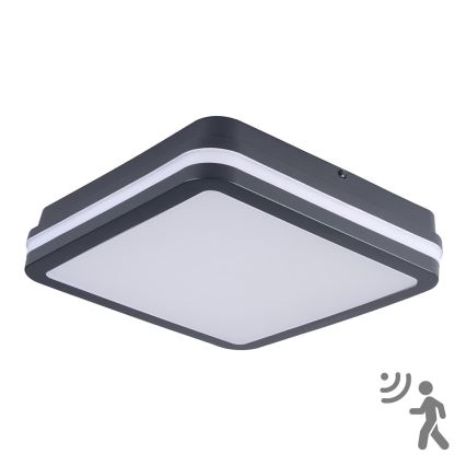 Brilagi - LED āra gaismeklis ar kustības sensoru BENE LED/24W/230V 26x26 cm antracīts IP54