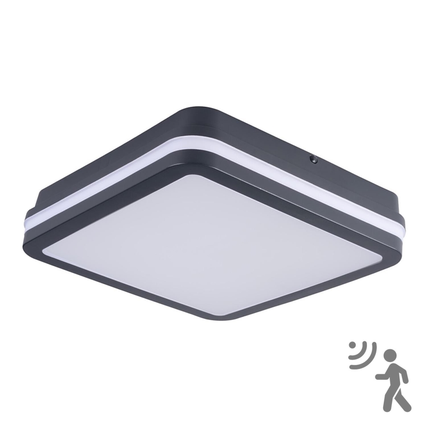 Brilagi - LED āra gaismeklis ar kustības sensoru BENE LED/24W/230V 26x26 cm antracīts IP54