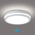 Brilagi - LED āra griestu gaismeklis ar sensoru BENE LED/24 W/230 V Ø 26 cm balts IP54