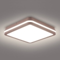 Brilagi - LED āra griestu gaismeklis BENE LED/24W/230V 26x26 cm brūns IP54