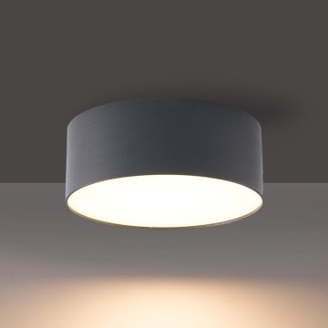 BRILAGI - LED āra griestu gaismeklis FORIS LED/14W/230V Ø 12 cm antracīta krāsā IP44