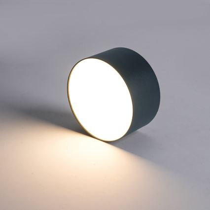 BRILAGI - LED āra griestu gaismeklis FORIS LED/14W/230V Ø 12 cm antracīta krāsā IP44