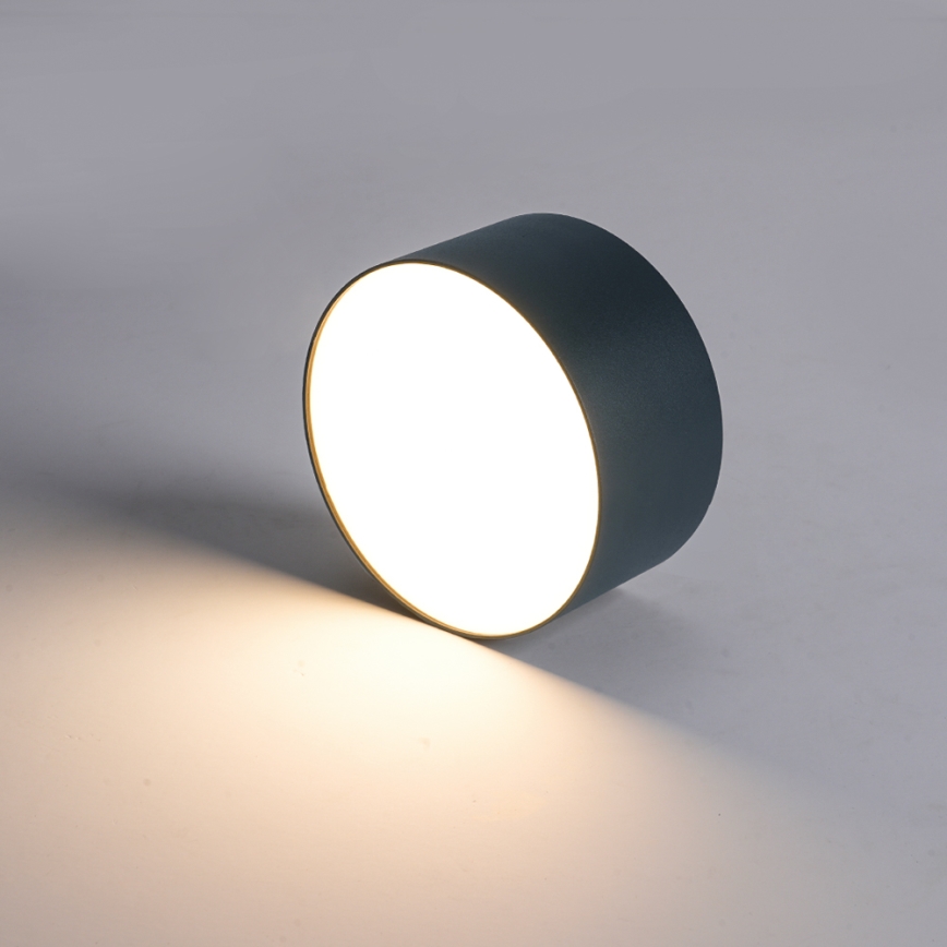 BRILAGI - LED āra griestu gaismeklis FORIS LED/14W/230V Ø 12 cm antracīta krāsā IP44