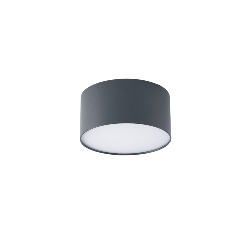 BRILAGI - LED āra griestu gaismeklis FORIS LED/14W/230V Ø 12 cm antracīta krāsā IP44