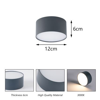 BRILAGI - LED āra griestu gaismeklis FORIS LED/14W/230V Ø 12 cm antracīta krāsā IP44
