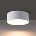 BRILAGI - LED āra griestu gaismeklis FORIS LED/14W/230V Ø 12 cm balts IP44