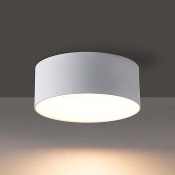 BRILAGI - LED āra griestu gaismeklis FORIS LED/14W/230V Ø 12 cm balts IP44