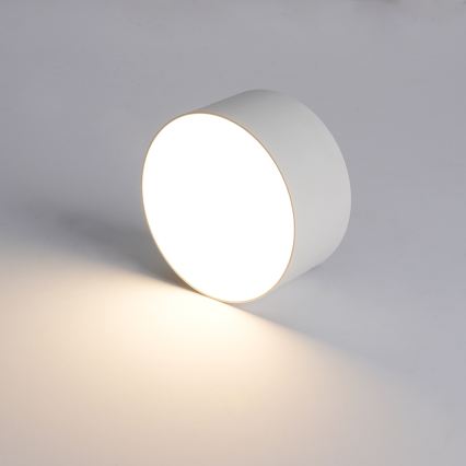 BRILAGI - LED āra griestu gaismeklis FORIS LED/14W/230V Ø 12 cm balts IP44