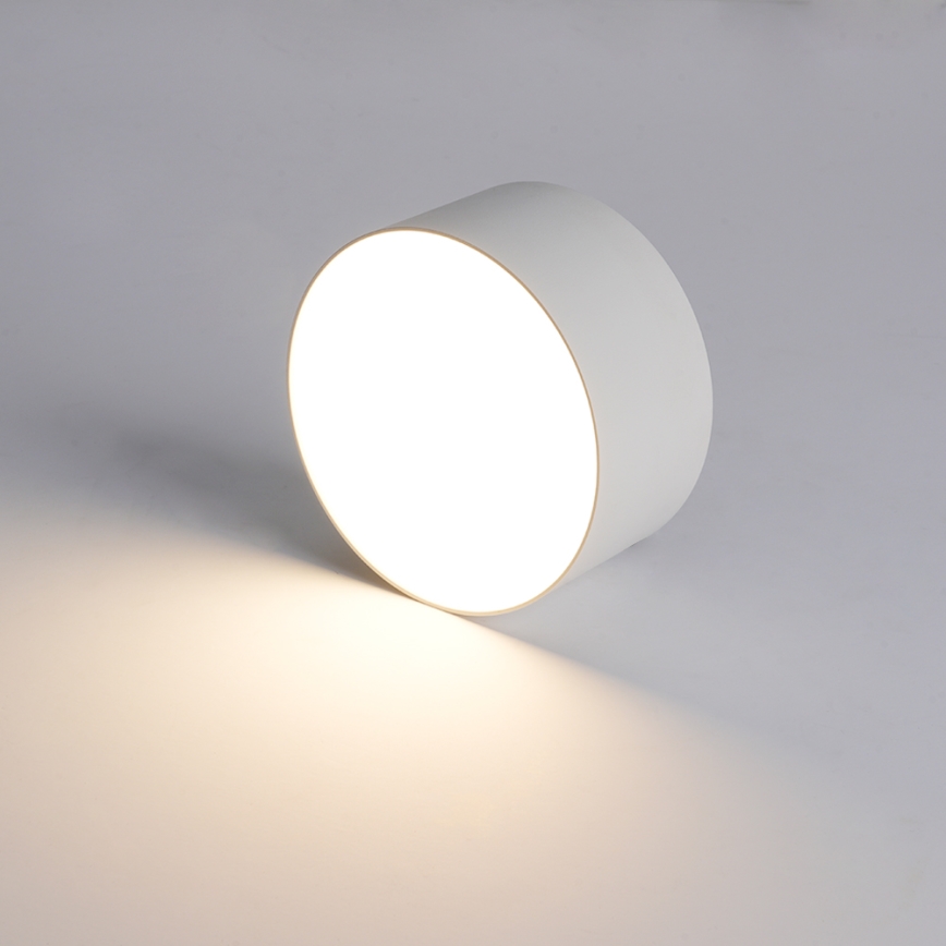 BRILAGI - LED āra griestu gaismeklis FORIS LED/14W/230V Ø 12 cm balts IP44