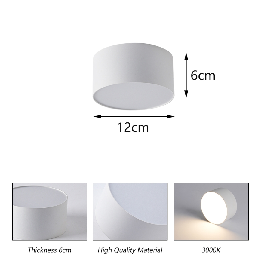 BRILAGI - LED āra griestu gaismeklis FORIS LED/14W/230V Ø 12 cm balts IP44