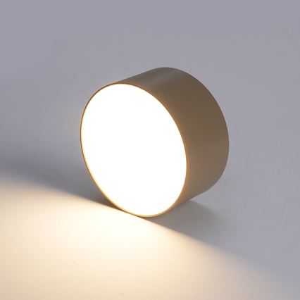 BRILAGI - LED Āra griestu gaismeklis FORIS LED/14W/230V Ø 12 cm bēšs IP44