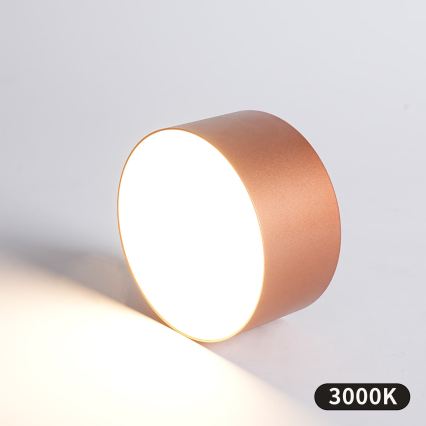 BRILAGI - LED āra griestu gaismeklis FORIS LED/14W/230V Ø 12 cm bronzas krāsas IP44