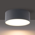 BRILAGI - LED āra griestu gaismeklis FORIS LED/20W/230V Ø 15 cm antracīts IP44