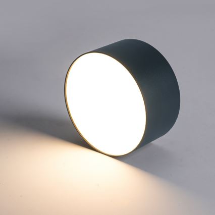 BRILAGI - LED āra griestu gaismeklis FORIS LED/20W/230V Ø 15 cm antracīts IP44