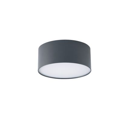 BRILAGI - LED āra griestu gaismeklis FORIS LED/20W/230V Ø 15 cm antracīts IP44
