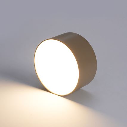 BRILAGI - LED āra griestu gaismeklis FORIS LED/20W/230V Ø 15 cm bēšs IP44