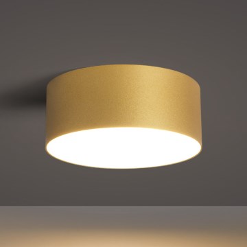 BRILAGI - LED āra griestu gaismeklis FORIS LED/20W/230V Ø 15 cm zelta IP44