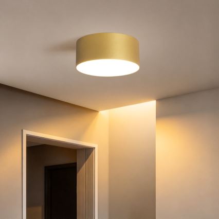 BRILAGI - LED āra griestu gaismeklis FORIS LED/20W/230V Ø 15 cm zelta IP44