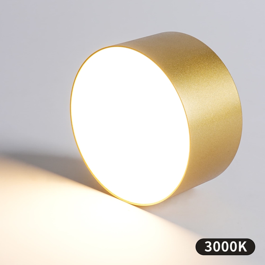 BRILAGI - LED āra griestu gaismeklis FORIS LED/20W/230V Ø 15 cm zelta IP44