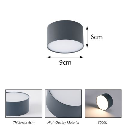BRILAGI - LED āra griestu gaismeklis FORIS LED/9W/230V Ø 9 cm antracīts IP44