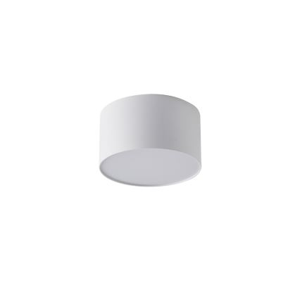 BRILAGI - LED āra griestu gaismeklis FORIS LED/9W/230V Ø 9 cm balts IP44