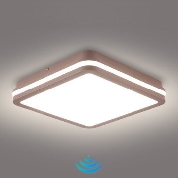 Brilagi - LED āra griestu lampa ar sensoru BENE LED/24W/230V 26x26 cm brūna IP54