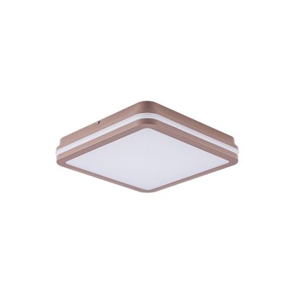 Brilagi - LED āra griestu gaismeklis BENE LED/24W/230V 26x26 cm brūns IP54