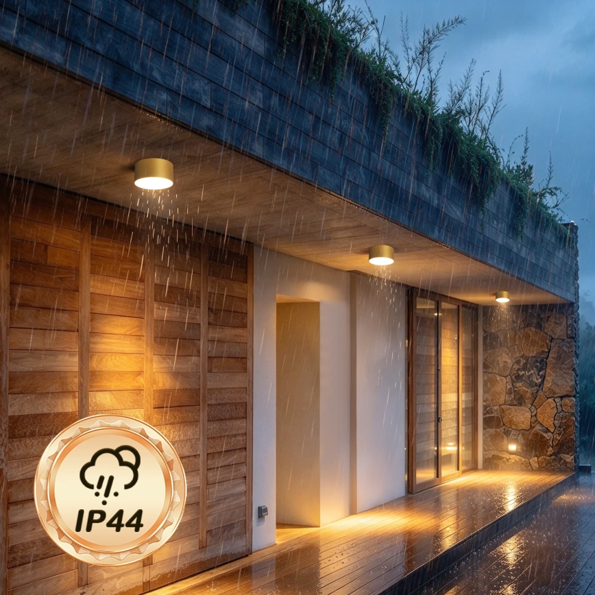 BRILAGI - LED āra griestu gaismeklis FORIS LED/14W/230V Ø 12 cm zelta IP44