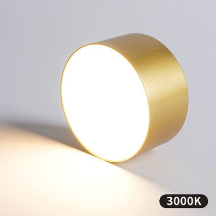 BRILAGI - LED āra griestu gaismeklis FORIS LED/14W/230V Ø 12 cm zelta IP44