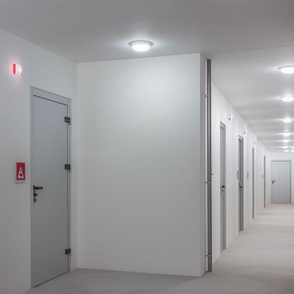 Brilagi - LED Āra griestu lampa LED/13W/230V d. 17 cm IP54