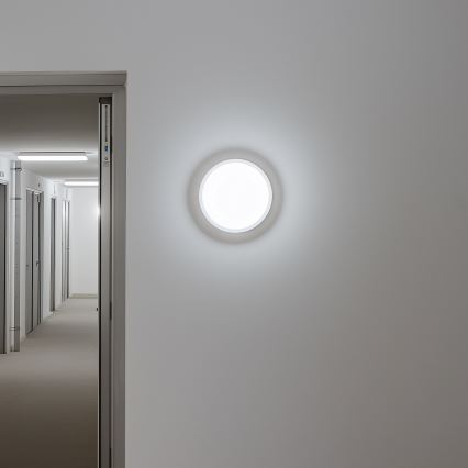 Brilagi - LED Āra griestu lampa LED/13W/230V d. 17 cm IP54