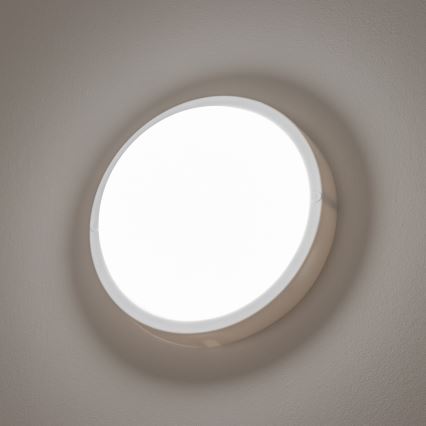 Brilagi - LED Āra griestu lampa LED/13W/230V d. 17 cm IP54