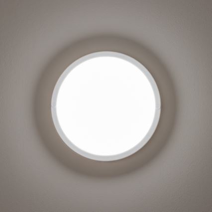 Brilagi - LED Āra griestu lampa LED/13W/230V d. 17 cm IP54