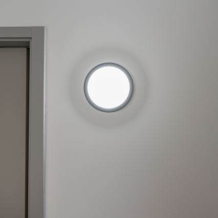 Brilagi - LED Āra griestu lampa LED/20W/230V d. 23 cm IP54 antracīta